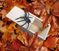 Preview: Spider scare box
