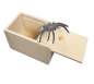 Preview: Spider scare box